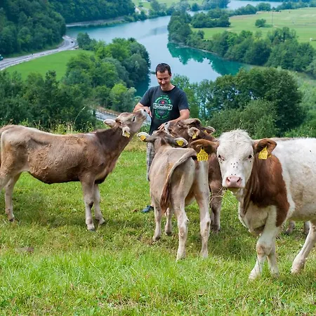 Tourist Farm Pri Kafolu Séjour à la ferme