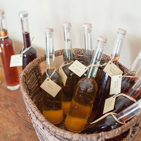 Alloggio per agriturismo Tourist Farm Pri Kafolu *