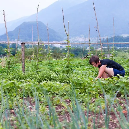 Tourist Farm Pri Kafolu Farm stay *