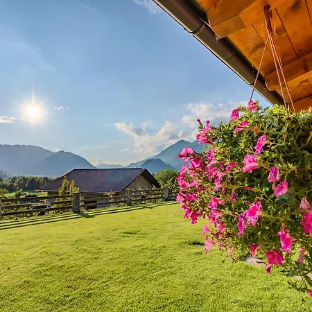 Farm stay Tourist Farm Pri Kafolu *