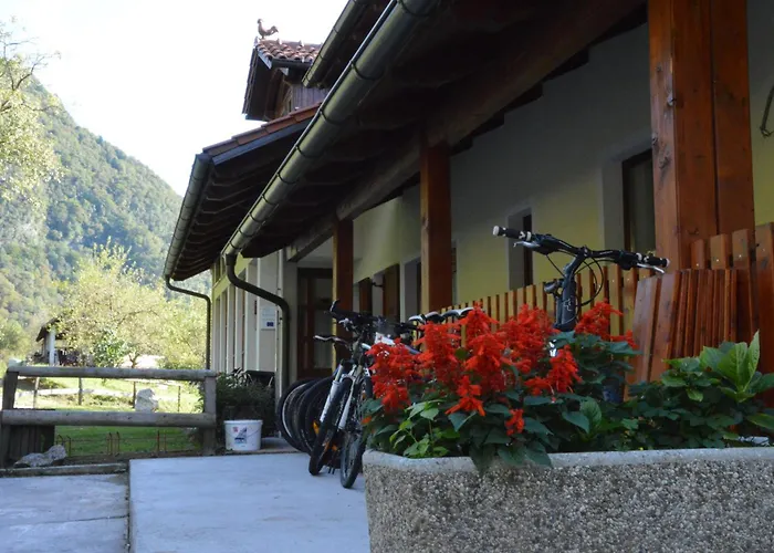 Tourist Farm Pri Kafolu *