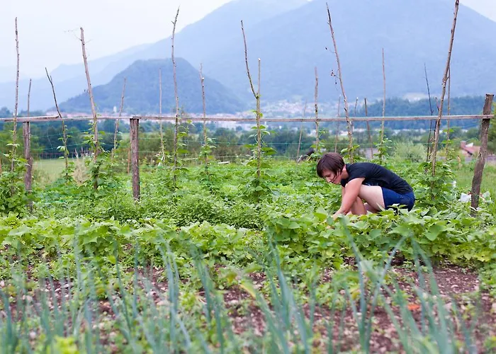 Tourist Farm Pri Kafolu Farma *