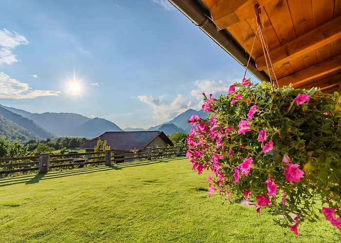 Farma Tourist Farm Pri Kafolu *